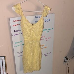 Windsor Sunny Yellow Mini Dress